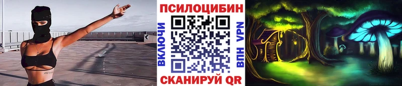 наркотики  Дмитров  Галлюциногенные грибы мицелий 
